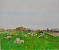 Texelse schapen op Texel